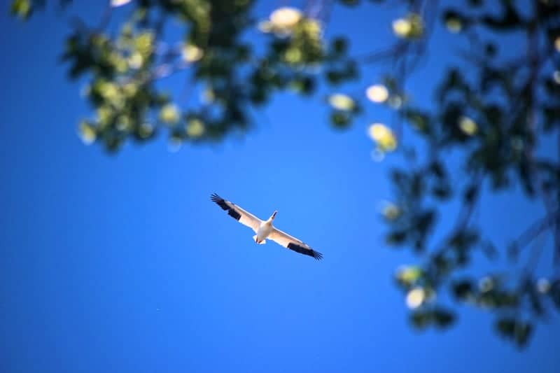 Ogden Nature Center - Image 1