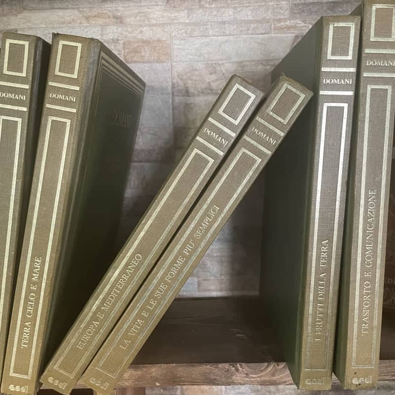 Vintage Italian Library Shelf - Image 1