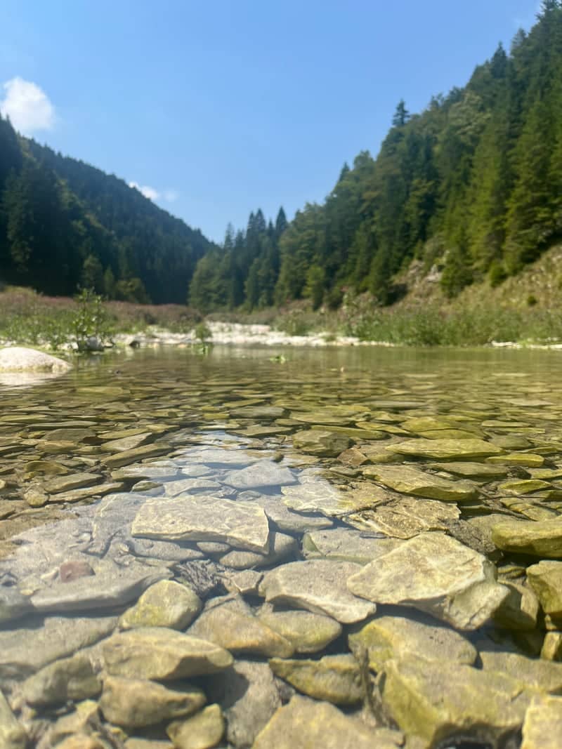 Valle dei Mulini, Gallio - Image 1