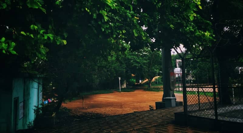 Janata College Campus Grounds - Image 1