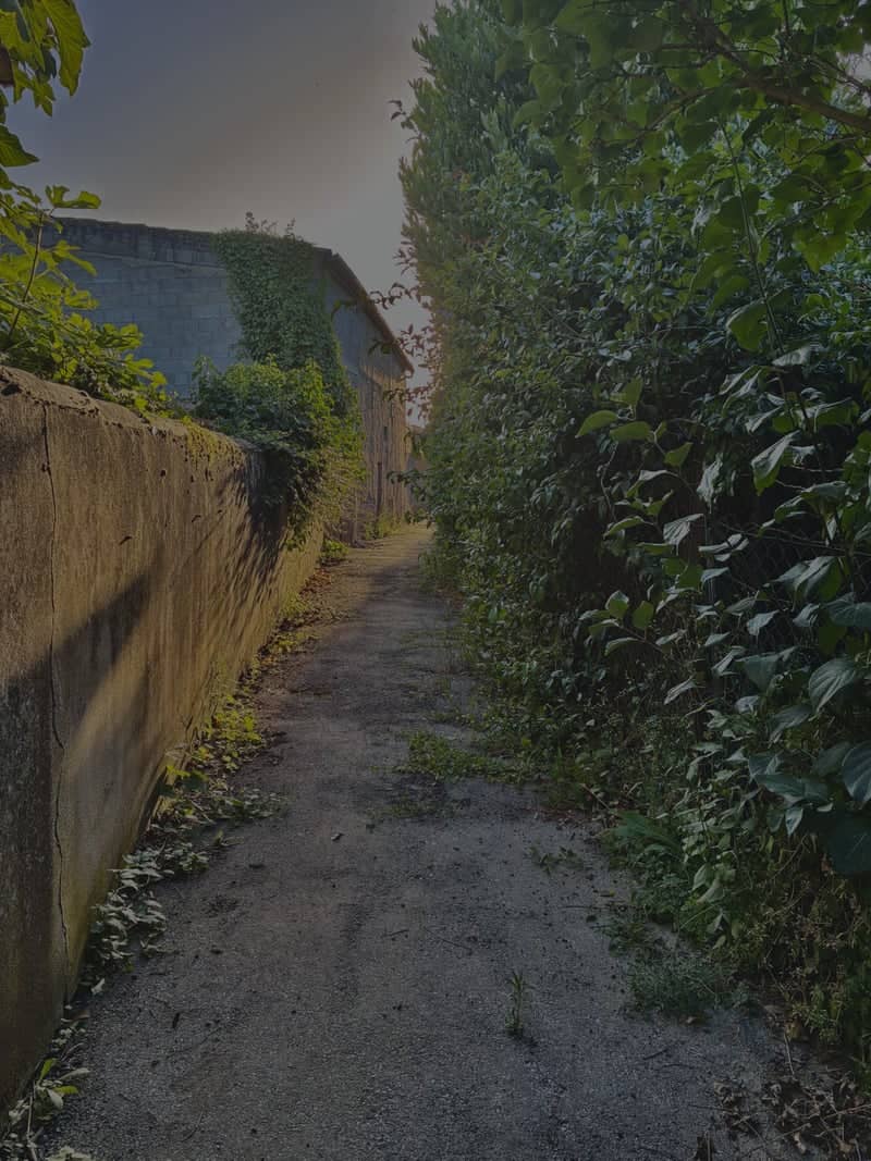 Hidden Path off Avenue Colonel Teyssier - Image 1