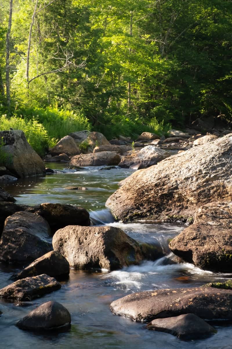 West Branch Deerfield River - Image 1
