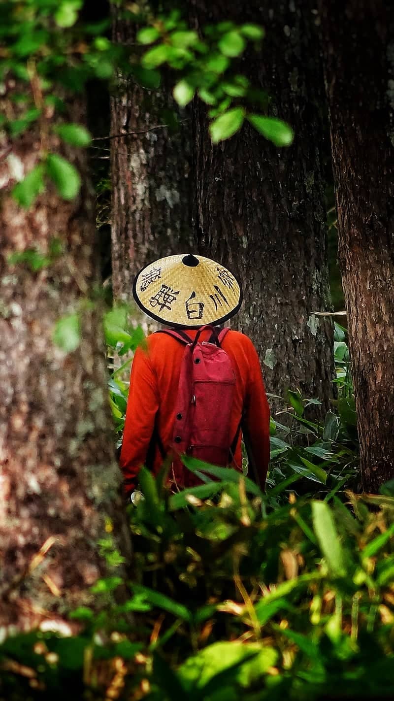 Kamikochi Forest Trails - Image 1