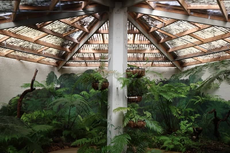 Fern Conservatory at Bobs Farm - Image 1