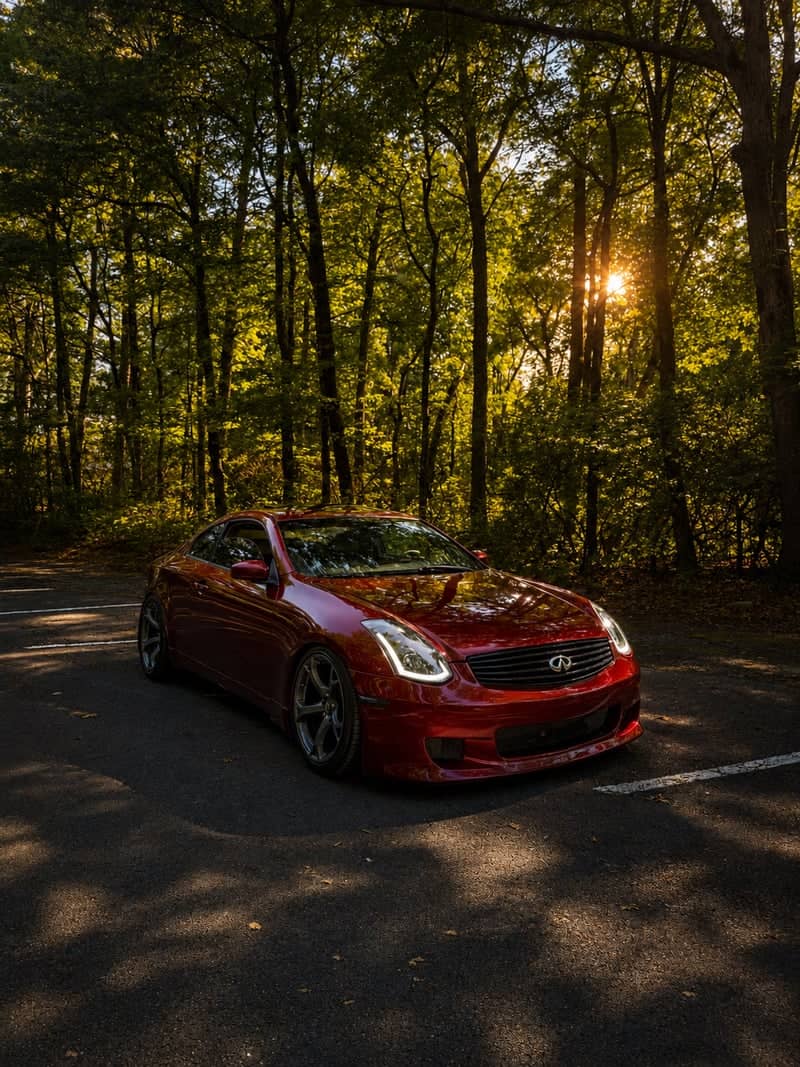 Fort Mountain State Park Forest Road - Image 1