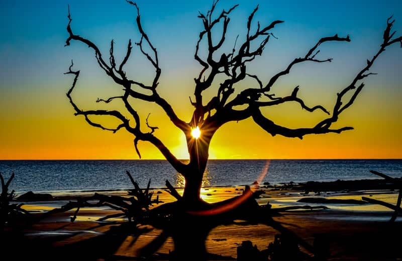 Driftwood Beach - Image 1