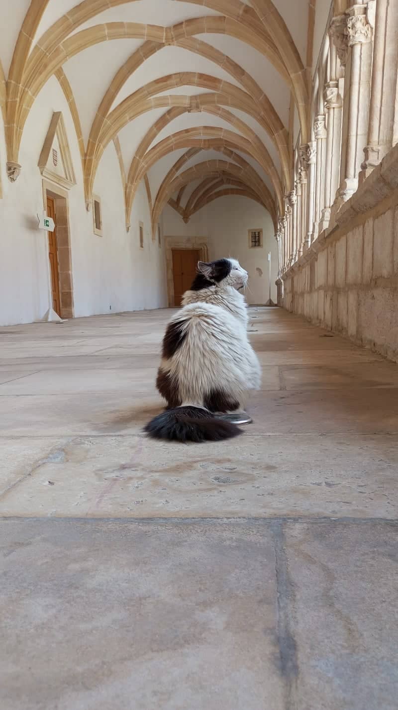 Cloister of Saint-Vincent Cathedral - Image 1