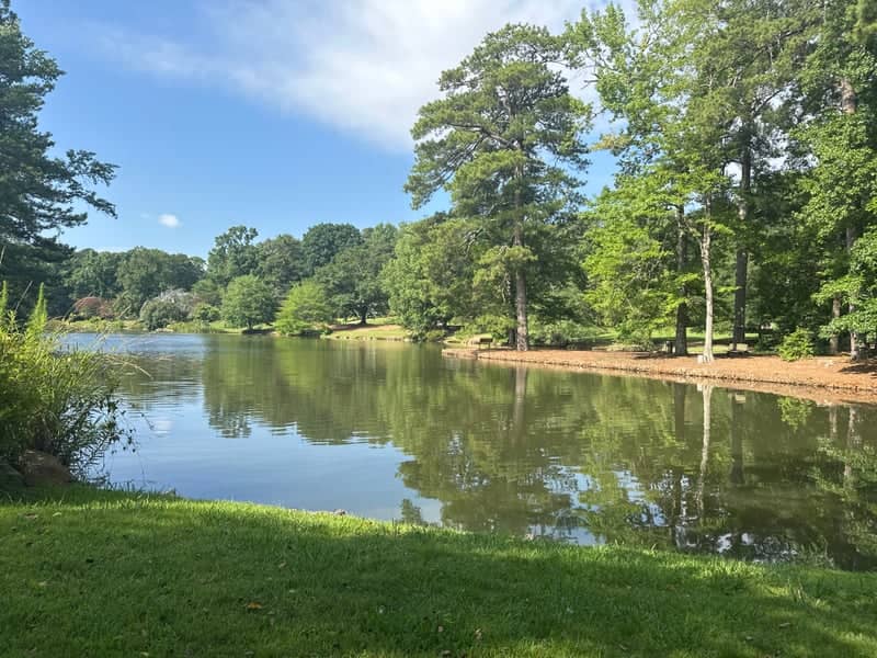 Lake Avondale - Image 1