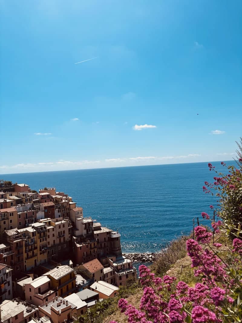 Riomaggiore Village Overlook - Image 1