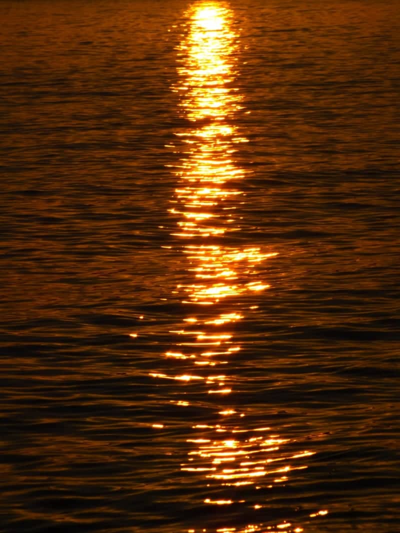 Pittulongu Coastline - Image 1
