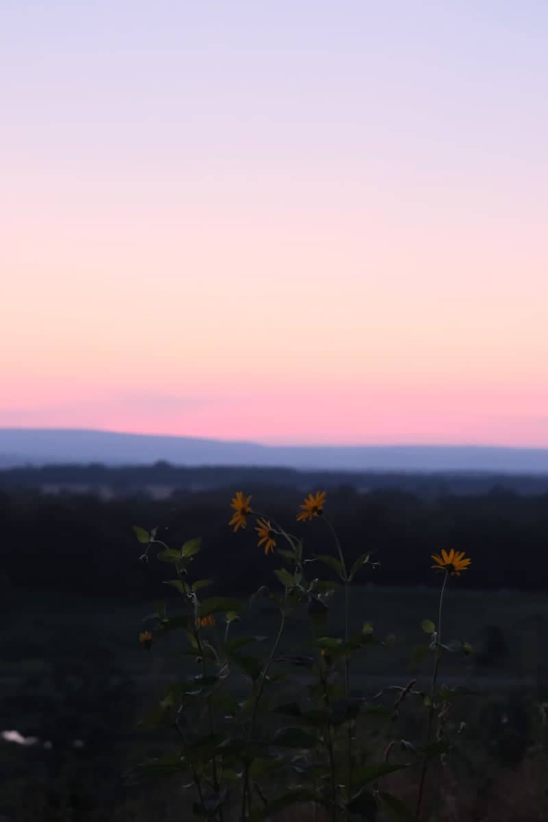 Gettysburg National Military Park - Image 1
