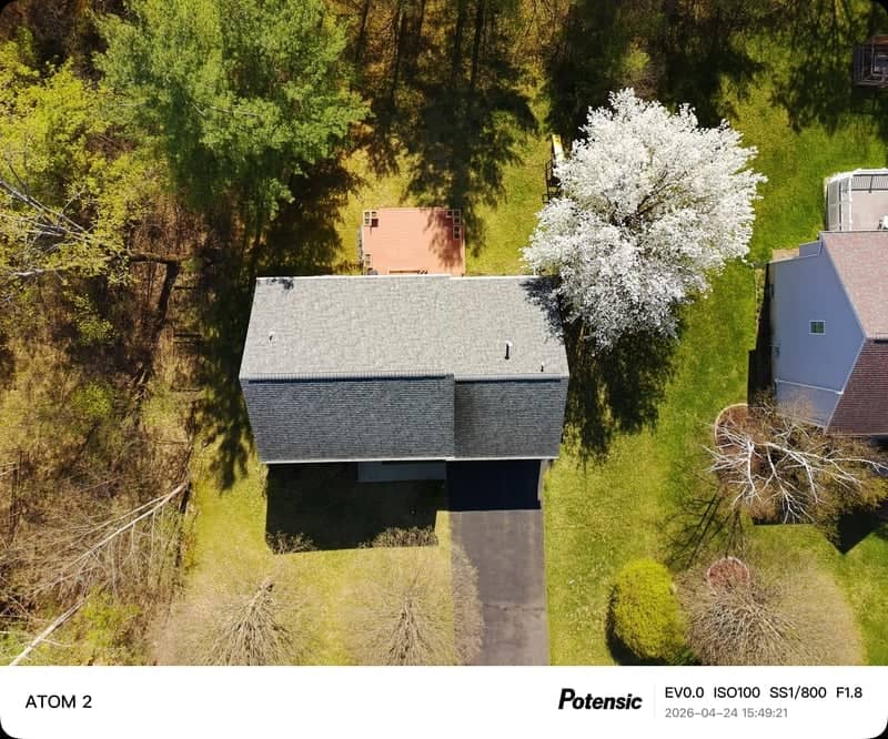 Suburban Spring Bloom - Image 1