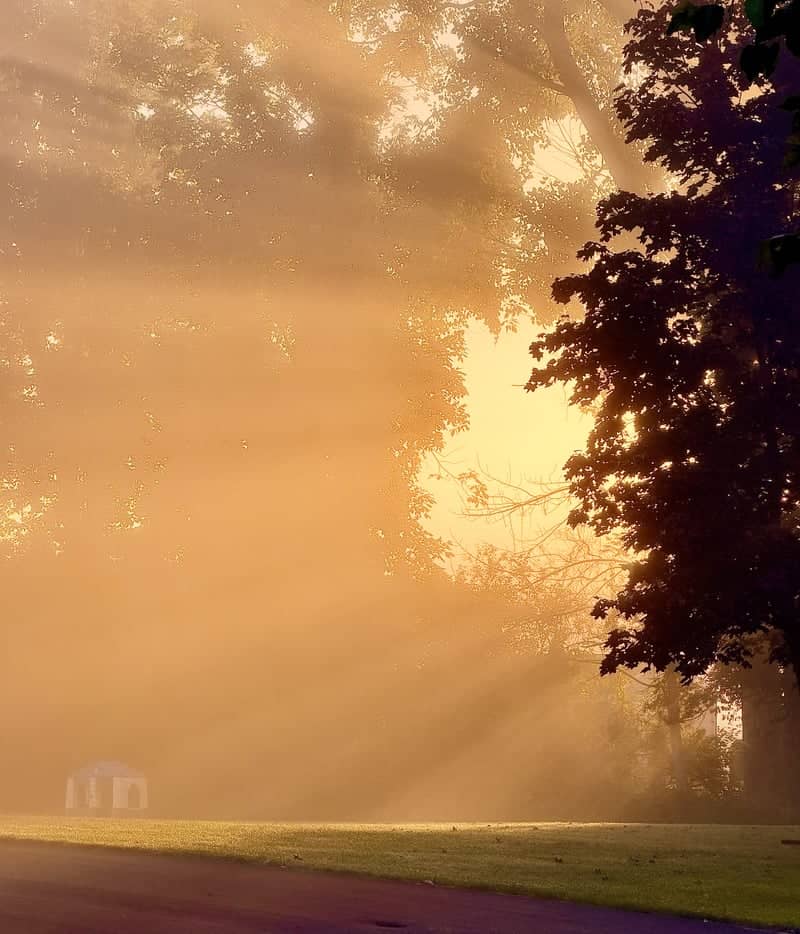 Misty Morning Sunbeams in Delmar - Image 1