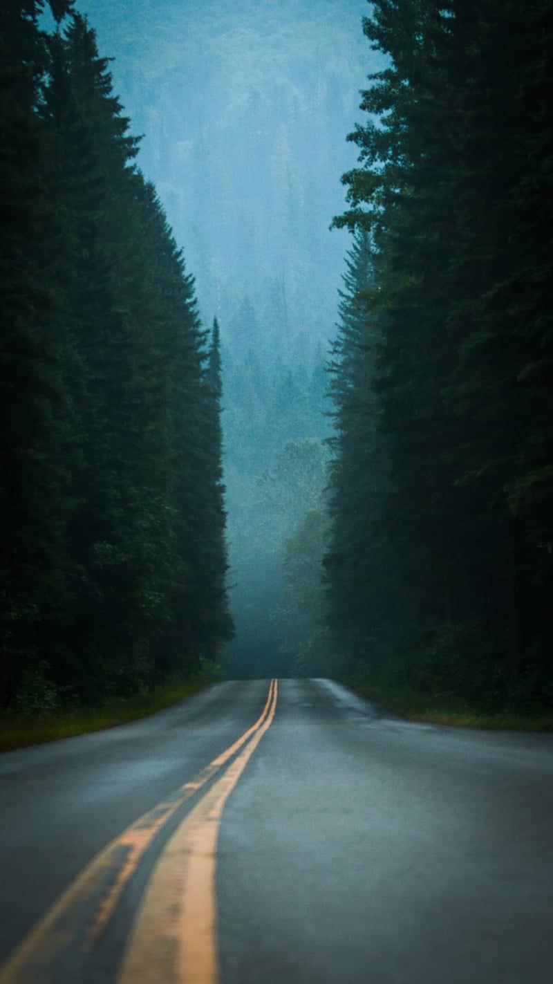 Going-to-the-Sun Road, West Glacier - Image 1