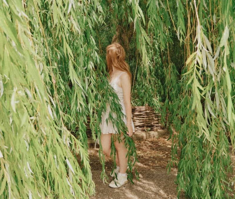 Weeping Willow Garden in Barton - Image 1