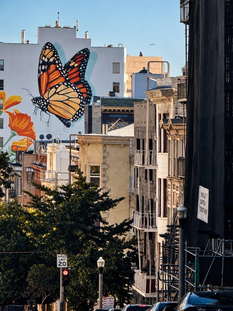 Monarch Butterfly Mural (Tenderloin) - Image 1