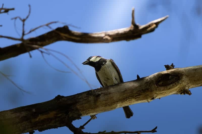 Highline Road Wildlife Overlook - Image 1