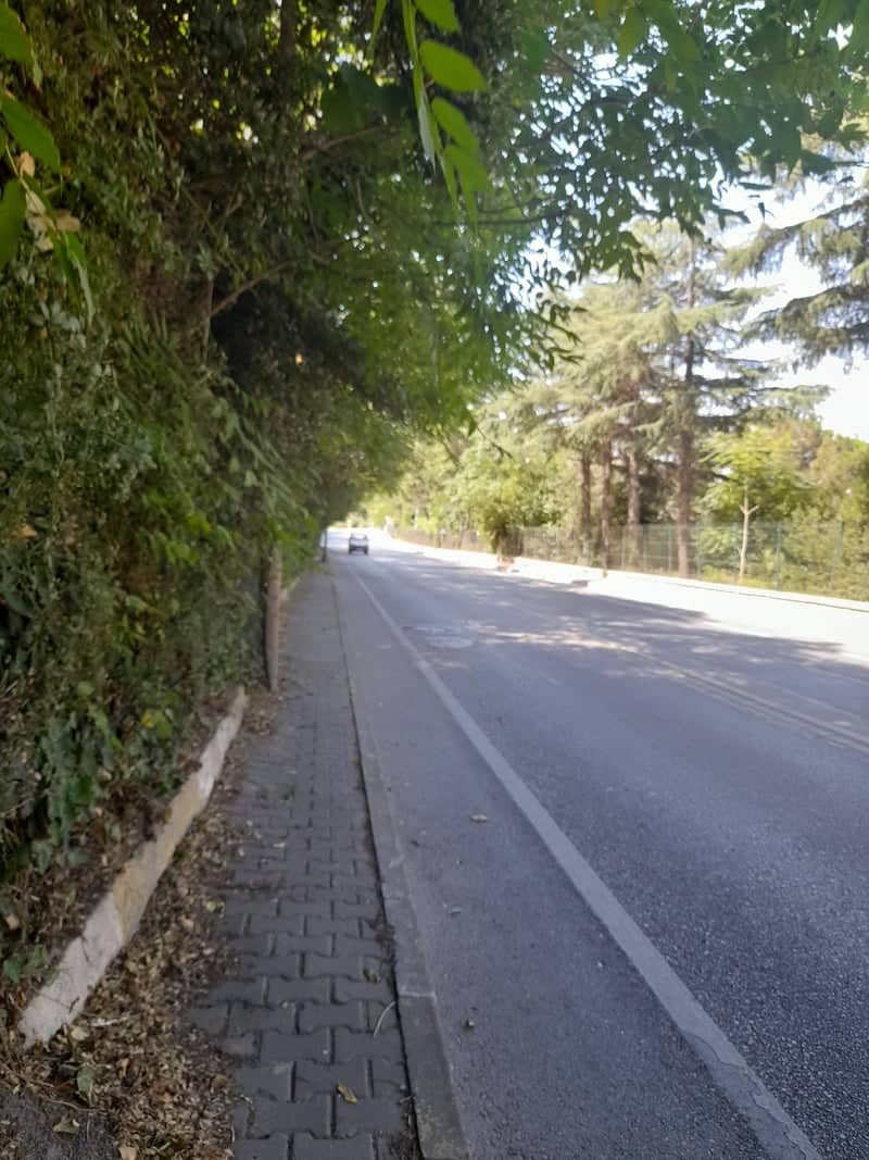 Beykoz Forest Road - Image 1