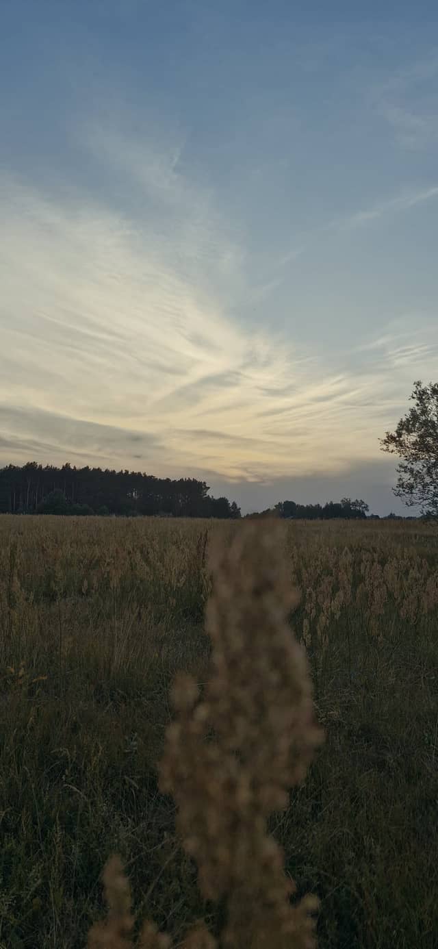 Kamieńczyk Meadows - Image 1