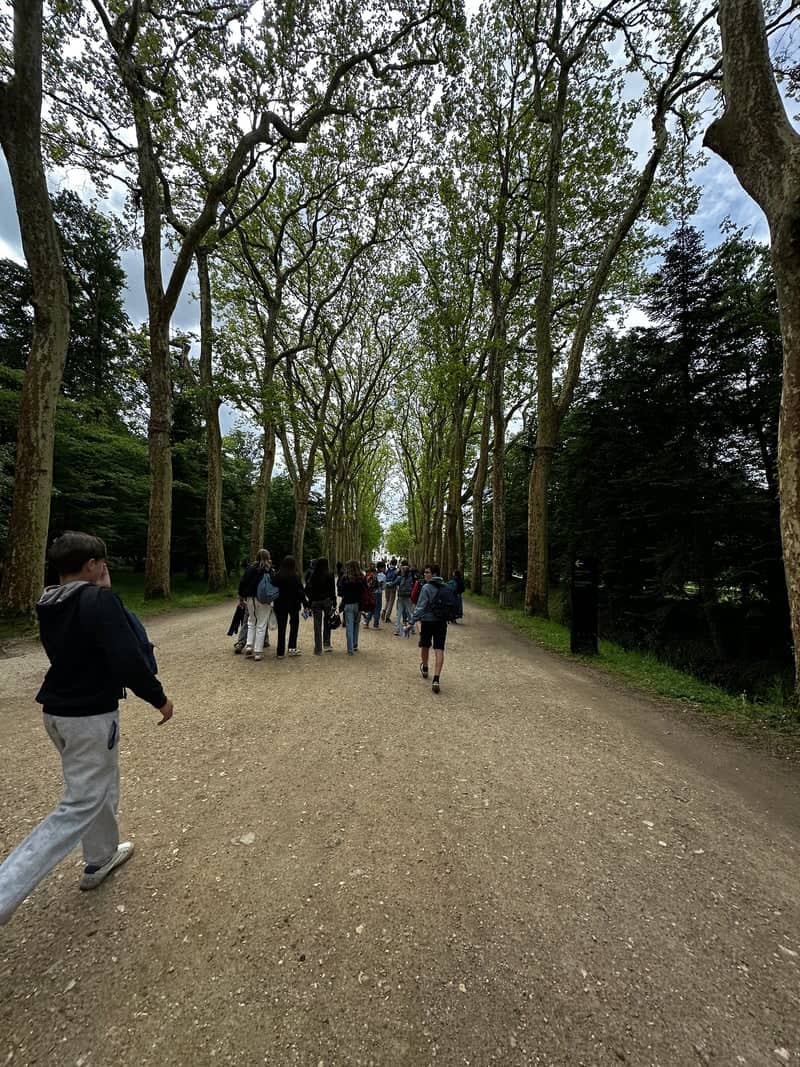 Château de Chenonceau - Grande Allée - Image 1