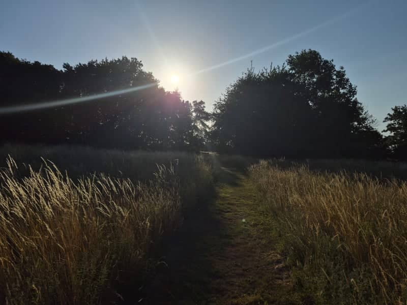 Norwich Meadow Path - Image 1