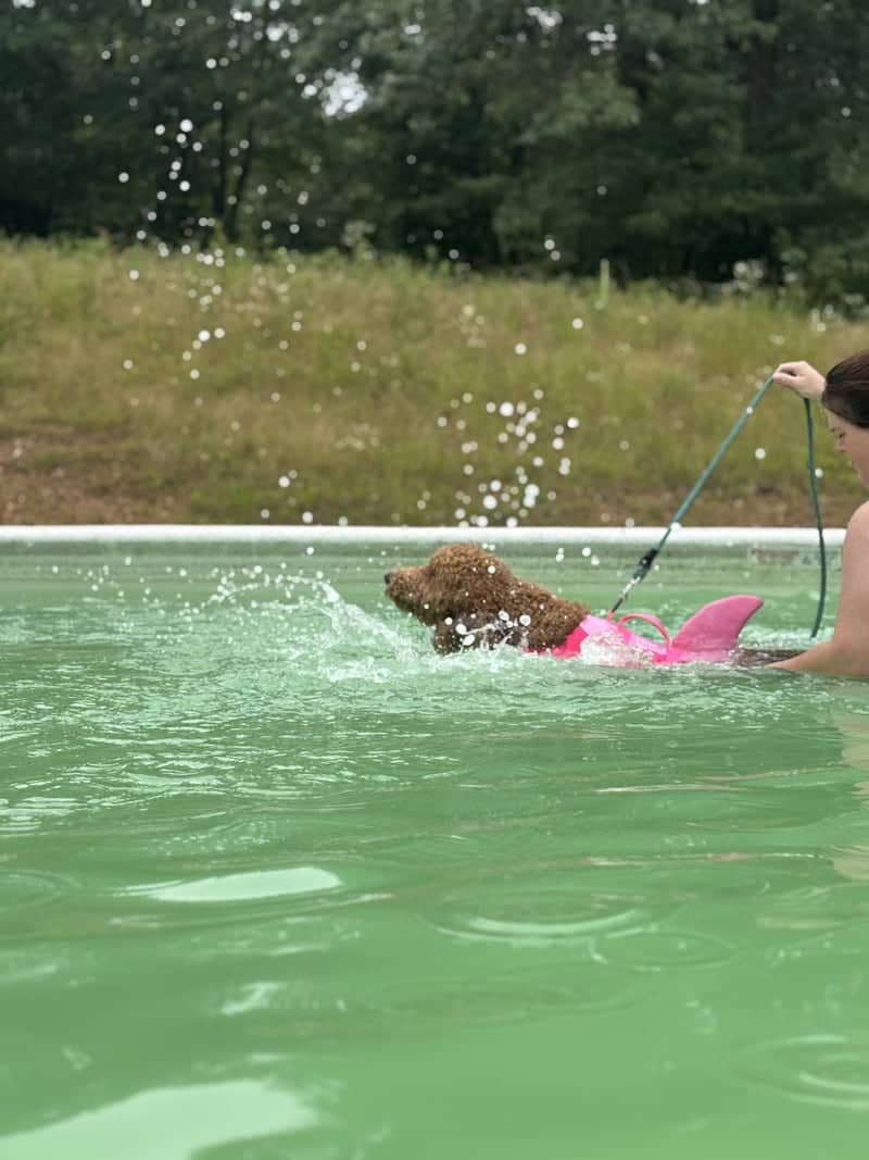Paducah Backyard Pool - Image 1