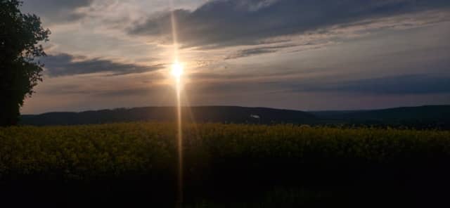 Weser Valley Rapeseed Field Overlook - Image 1