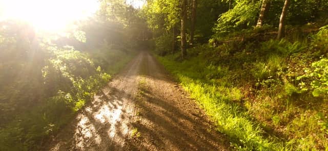 Arholzen Forest Trail - Image 1