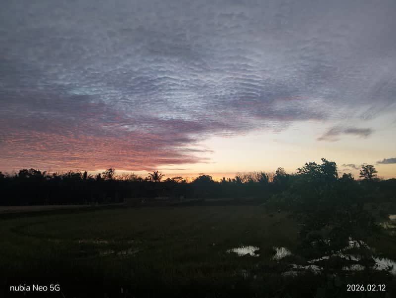 Trang Rural Farmland Sunset - Image 1