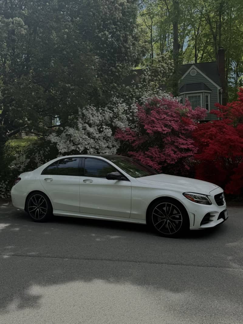 Suburban Spring Garden Driveway - Image 1
