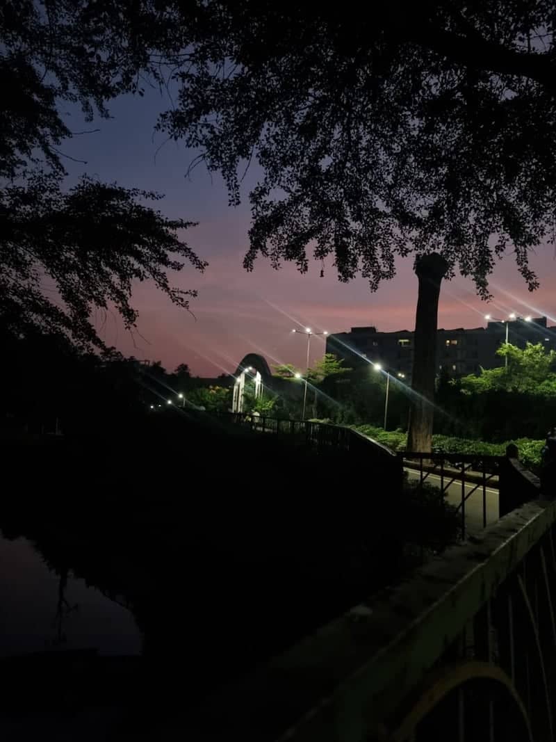 Jubilee Park Lake Bridge - Image 1