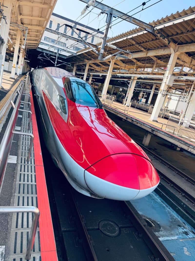 Omiya Station Shinkansen Platforms - Image 1