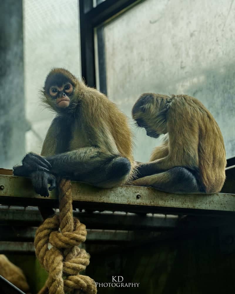 Beardsley Zoo - Image 1