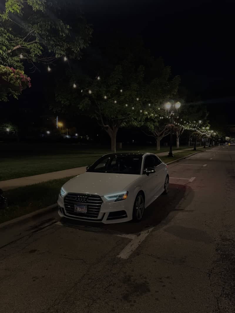 Festival Park Night Walk - Image 1