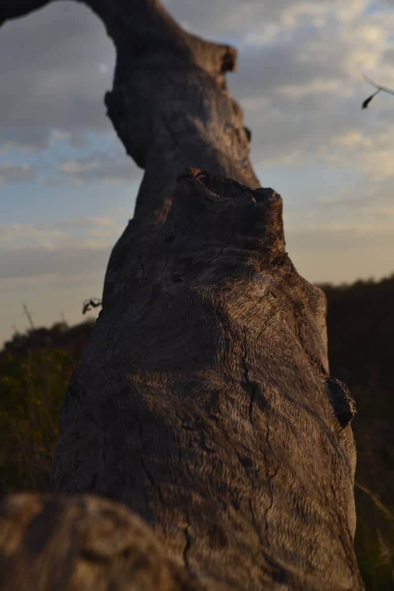Elm Creek Nature Overlook - Image 1