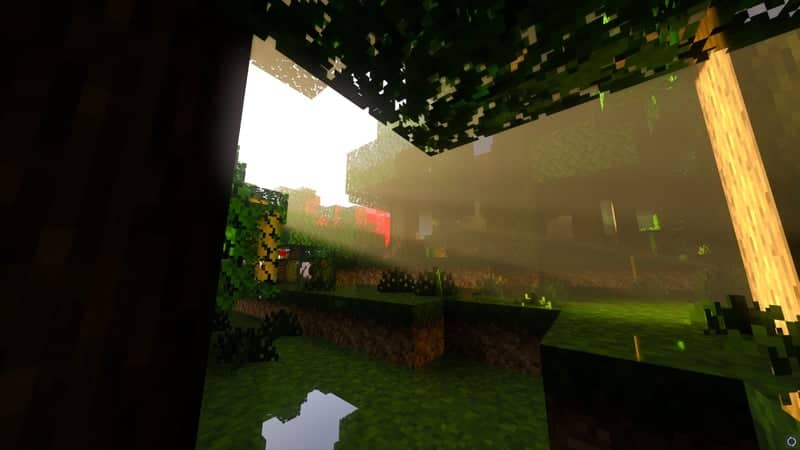 Digital Forest Render - Image 1