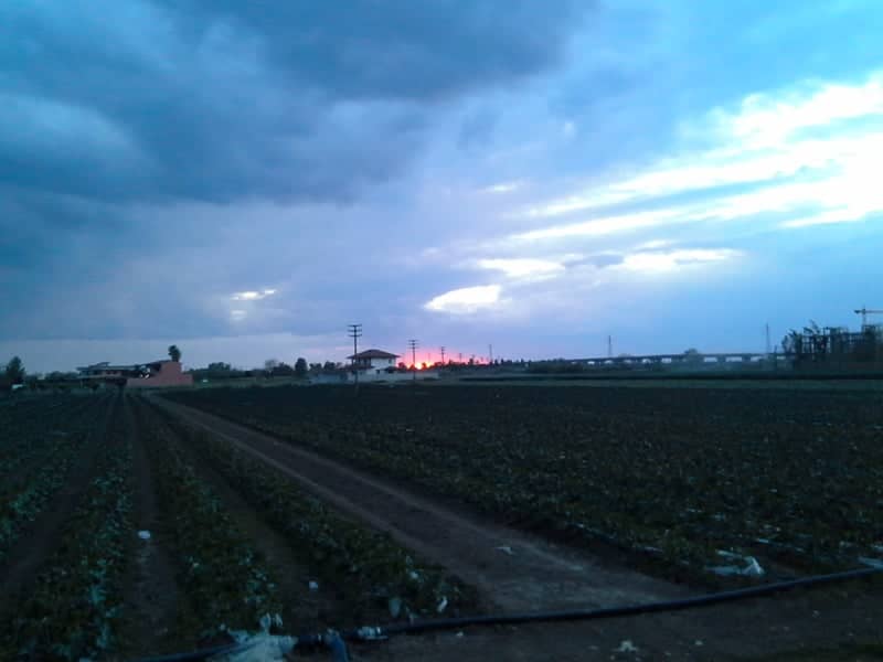 Villa Literno Farmlands - Image 1