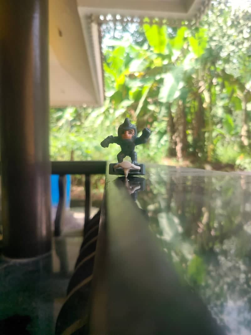 Tropical Garden Porch in Nedumangad - Image 1