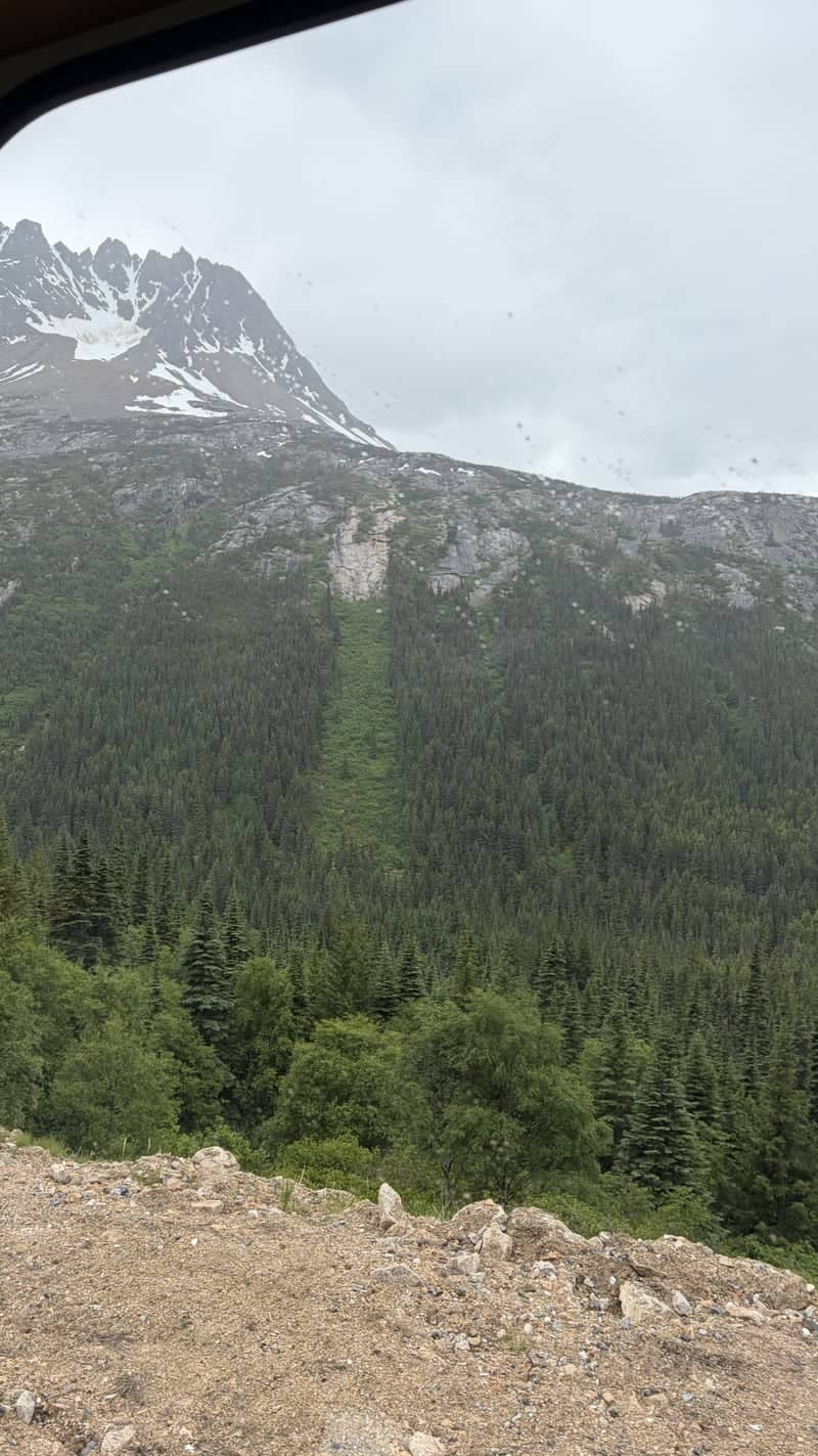 White Pass Mountain View - Image 1