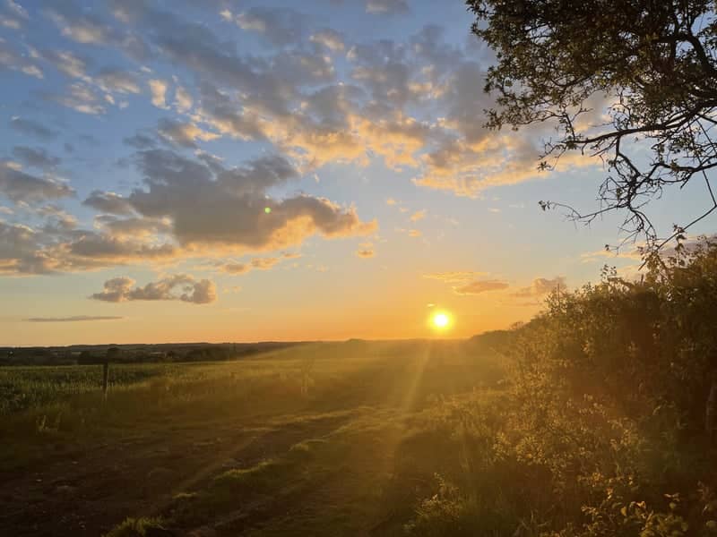Bedfordshire Countryside Sunset - Image 1