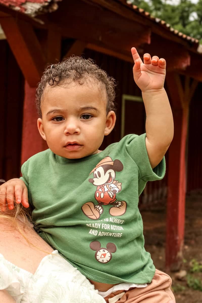 Rustic Red Barn Backdrop - Image 1