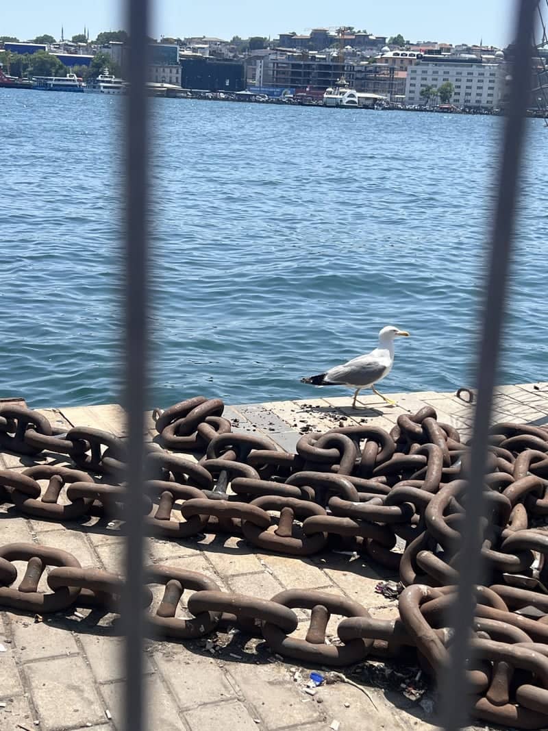 Üsküdar Waterfront - Image 1