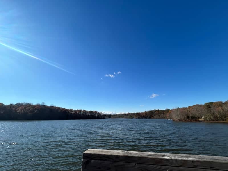 Killens Pond State Park - Image 1