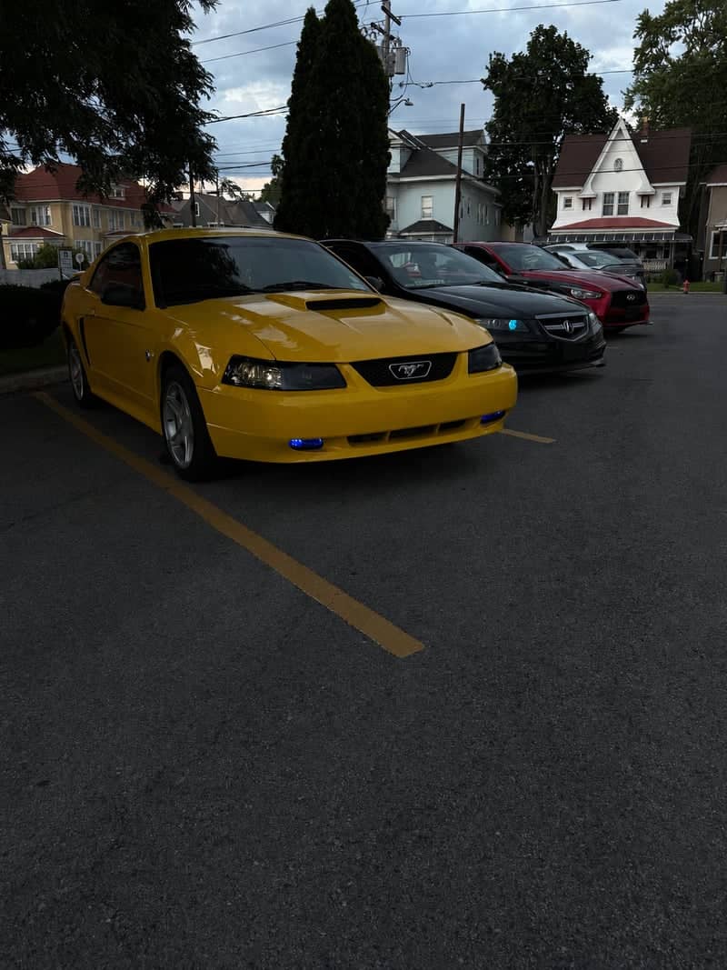 Schenectady Suburban Car Spot - Image 1
