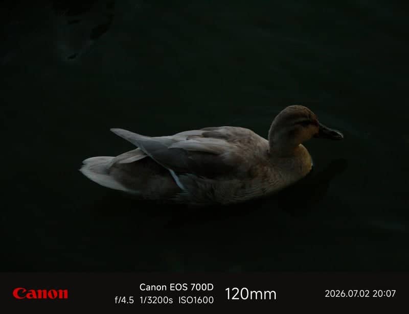Ladygrove Park Lakes - Image 1