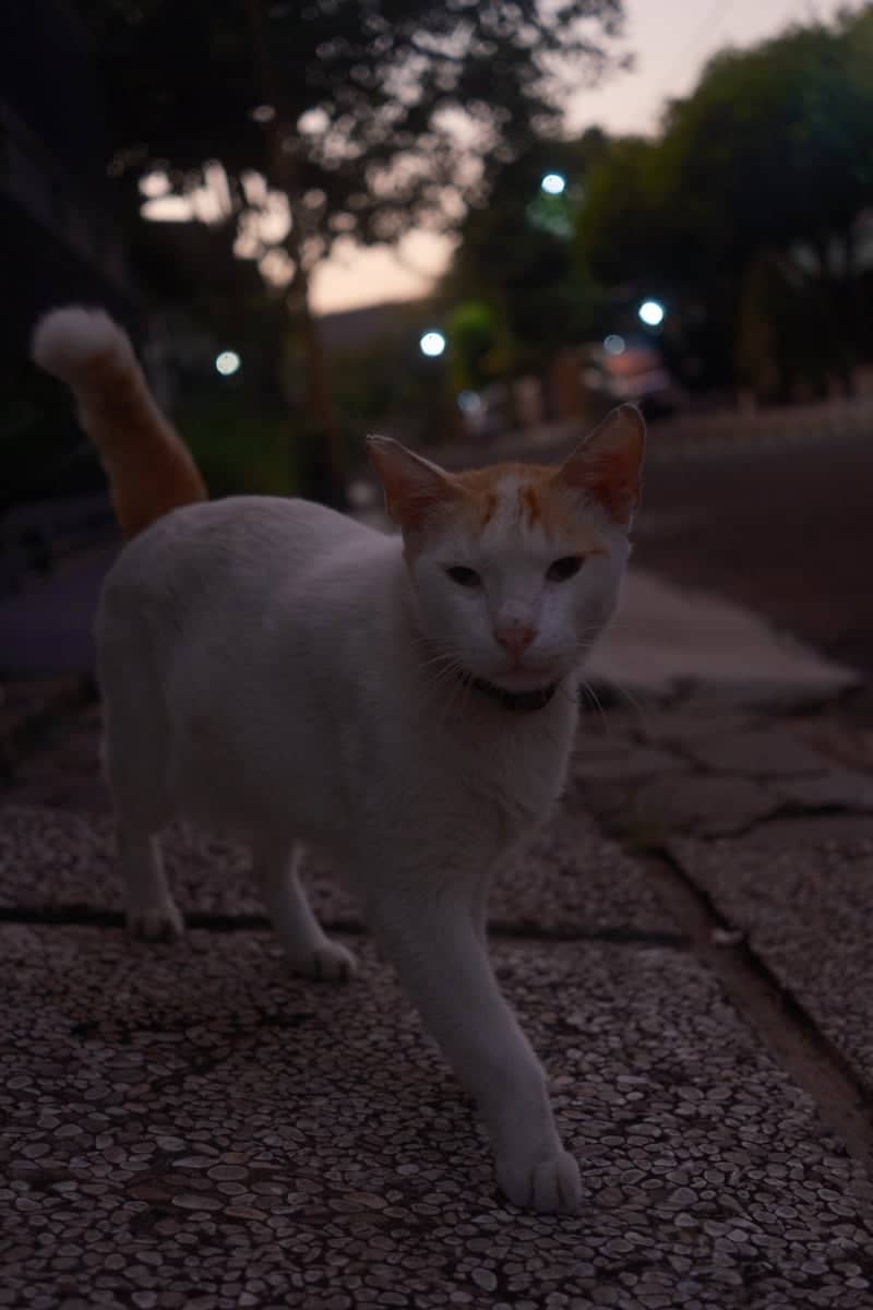 South Tangerang Residential Street - Image 1