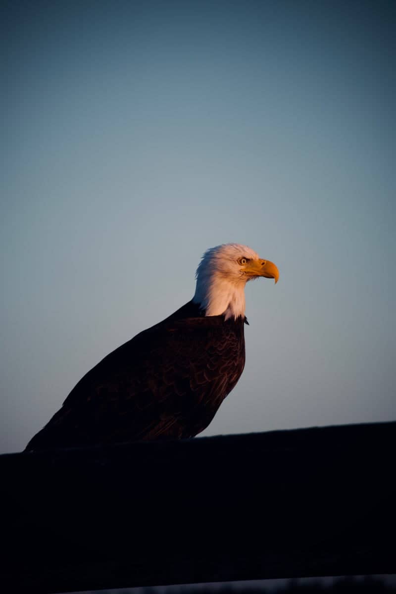Fort Flagler Historical State Park - Image 1