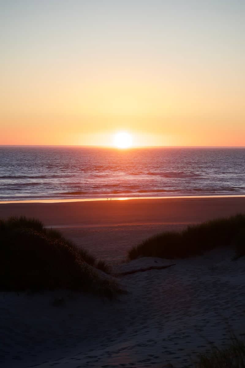 Manzanita Beach Dunes - Image 1