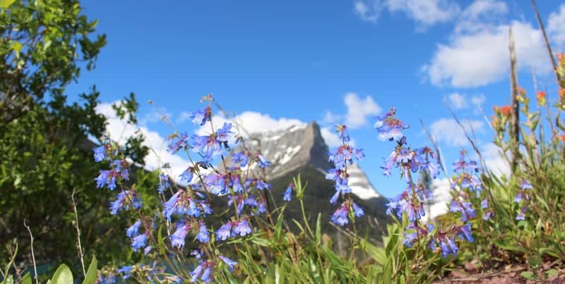 Glacier National Park - St. Mary Valley - Image 1