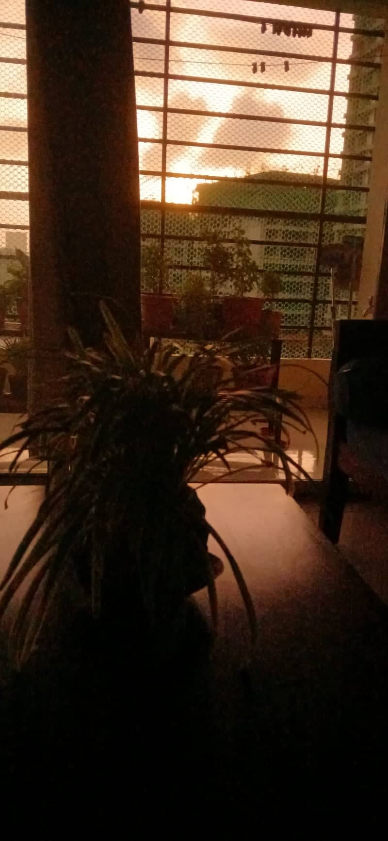 Bhubaneswar Urban Sunset View - Image 1